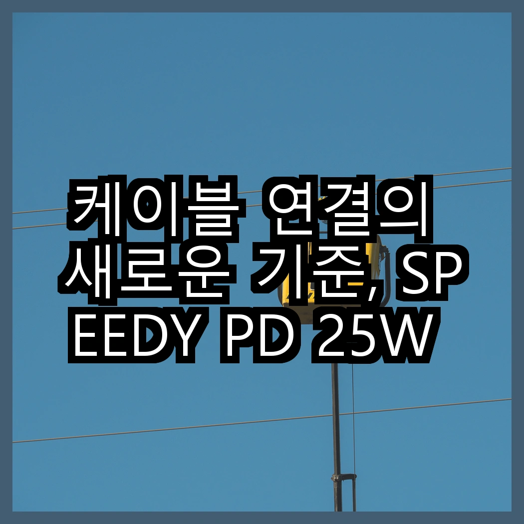 케이블 연결의 새로운 기준, SPEEDY PD 25W 충전기와 홈플래닛 고속충전케이블, 어떤 선택이 더 좋을까? 썸네일