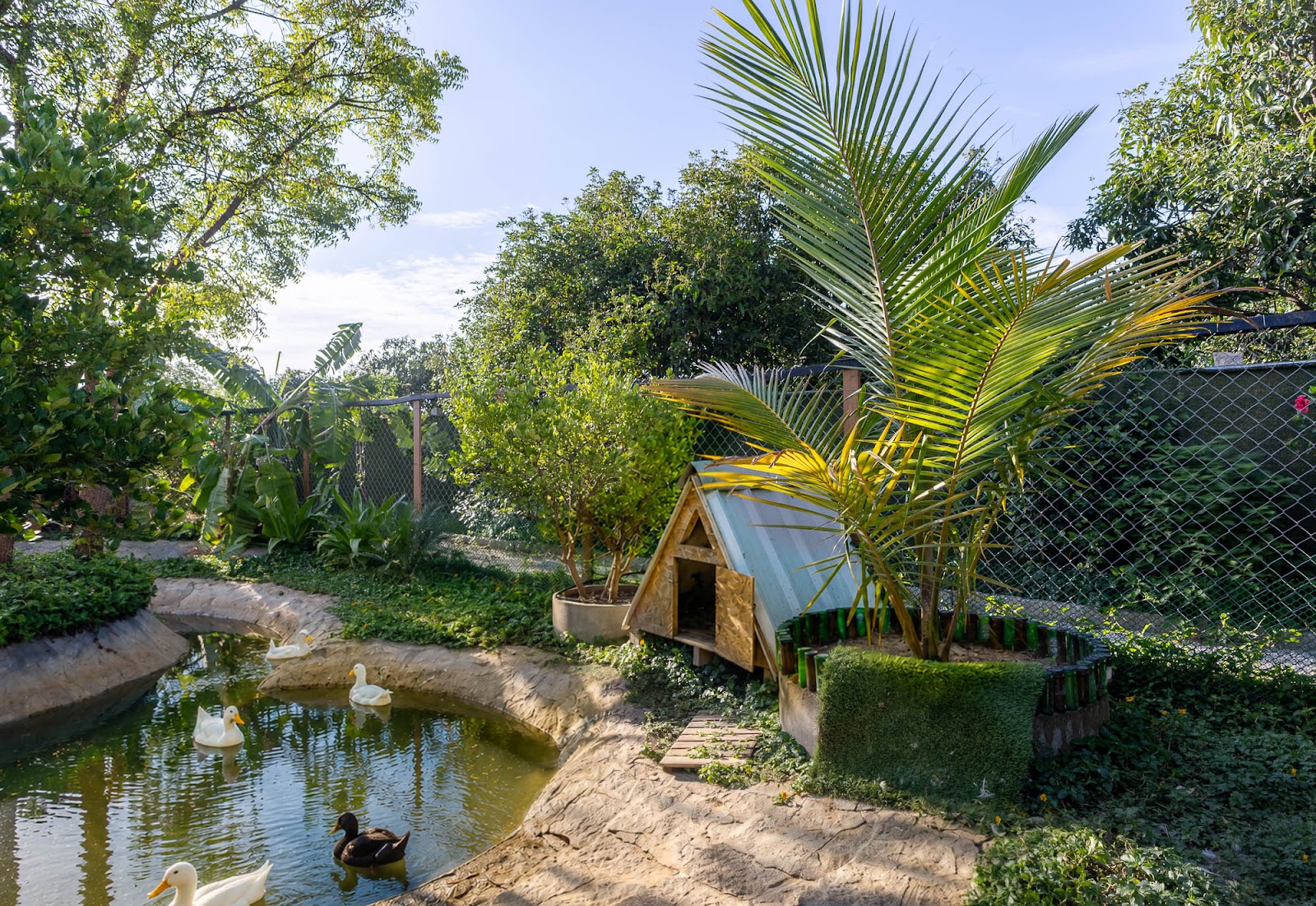 rama villa