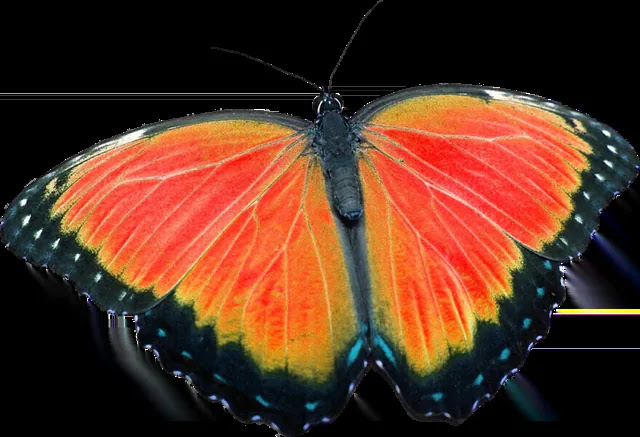 보일러 없이 따뜻하게 지내는 실내 보온법