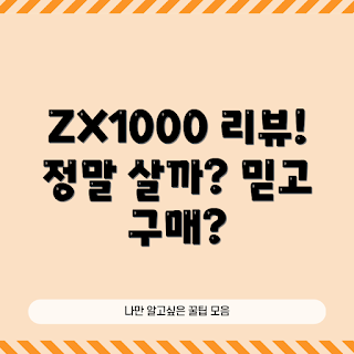 아이나비ZX1000, 내돈내산 후기, 블랙박스 추천, 아이나비 블랙박스, 아이나비ZX1000 사용기