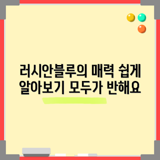 러시안블루키링 매력, 러시안블루키링 특징, 왜 러시안블루키링인가, 러시안블루키링 기르기, 러시안블루키링 관리 방법