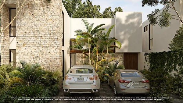 Palmara – photo 2