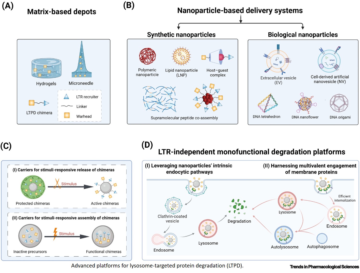Lysosome-targeted protein degradation platforms for spatiotemporally controlled degradation