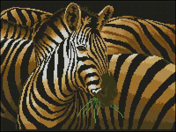CMP 400743 Zebra Grande