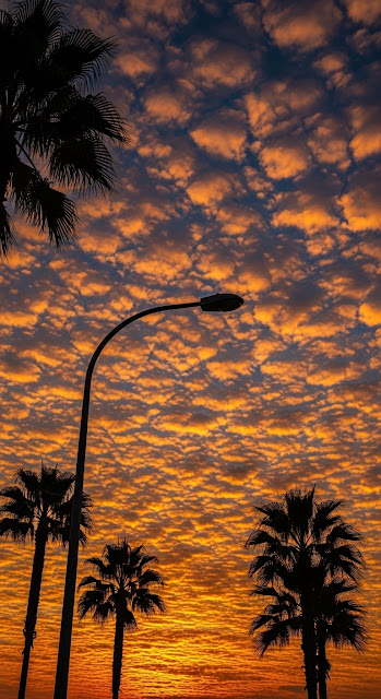 Silhouette of Tropical Palm Trees and Street Light Against a Fiery Cloud Sunset - Free mobile Wallpaper