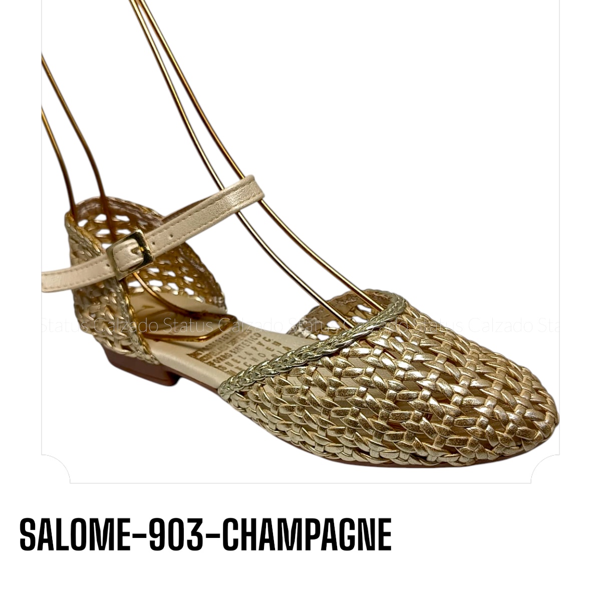 SALOME-903-CHAMPAGNE