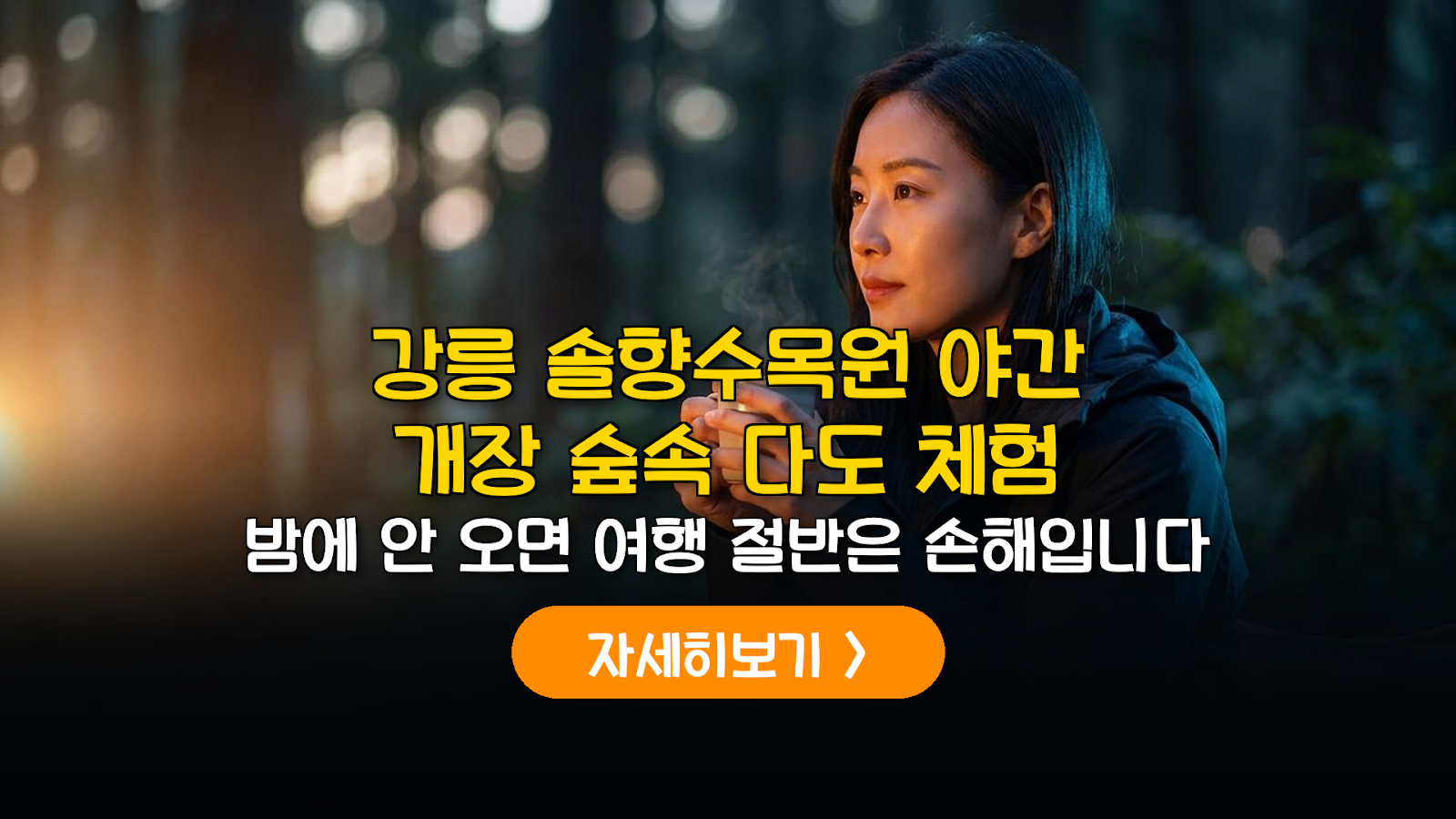 강릉 솔향수목원 야간 다도 예약 및 비용 분석 (2026)