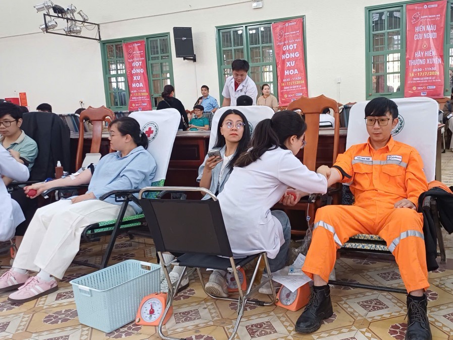 Thập kỷ gắn bó với đường dây điện - Hành trình sự sống của người thợ Lâm Đồng