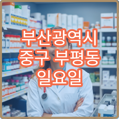 부산광역시 중구 부평동 일요일 충치 치통 치과 진료 병원 찾기 가이드