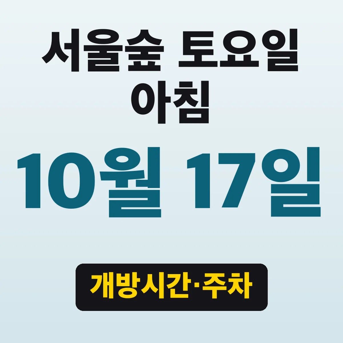 서울숲 10월 17일 토요일 아침, 개방시간·주차