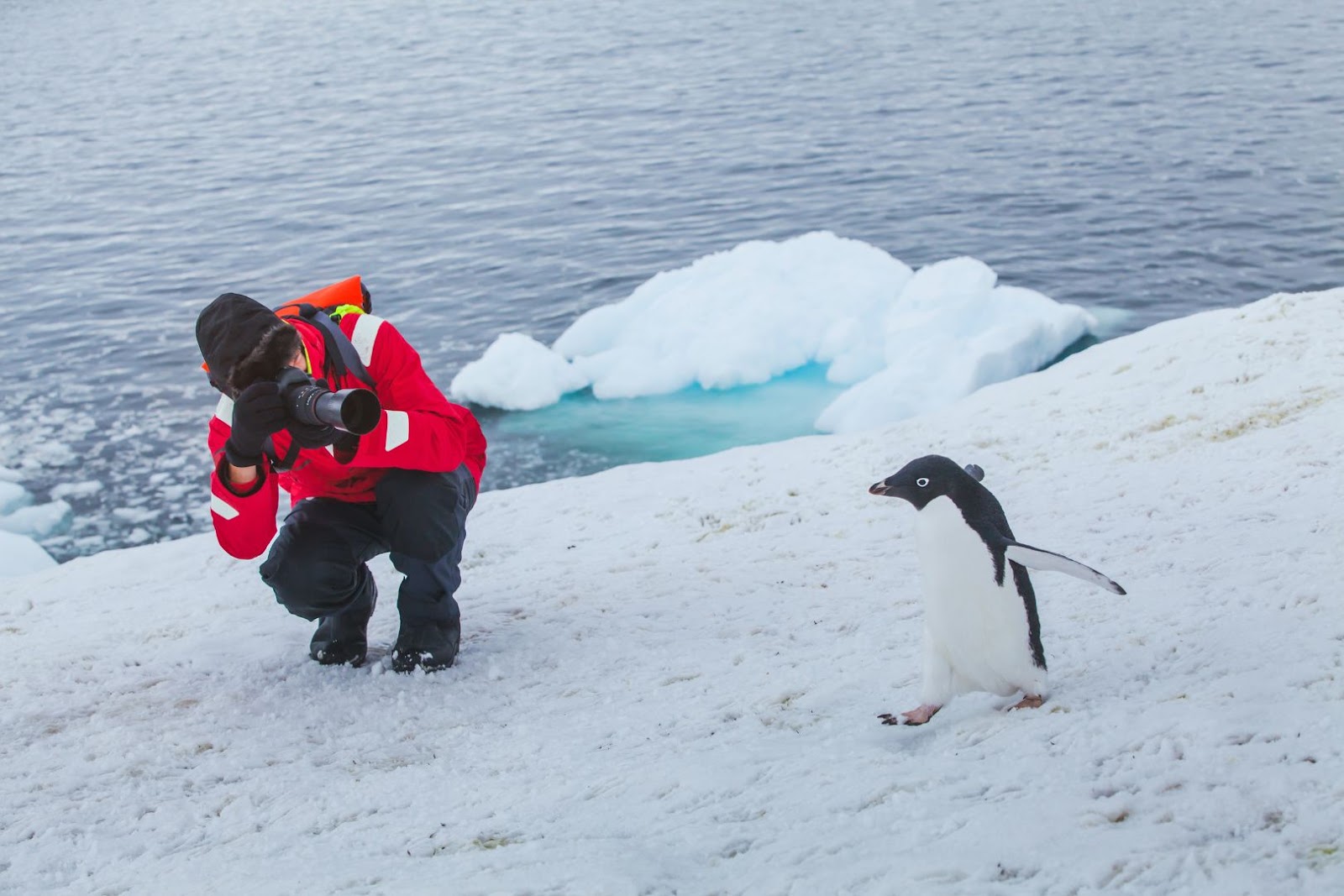 Traveler photographing penguins in Antarctica with snowy mountains and icy scenery in the background.