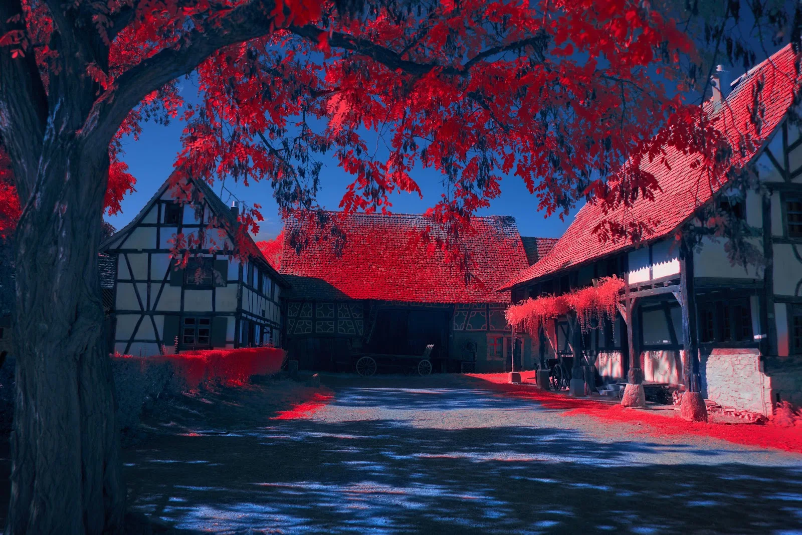 Surreal Red And Blue Architecture - Infrared Photography 5K Wallpaper (7008x4672)