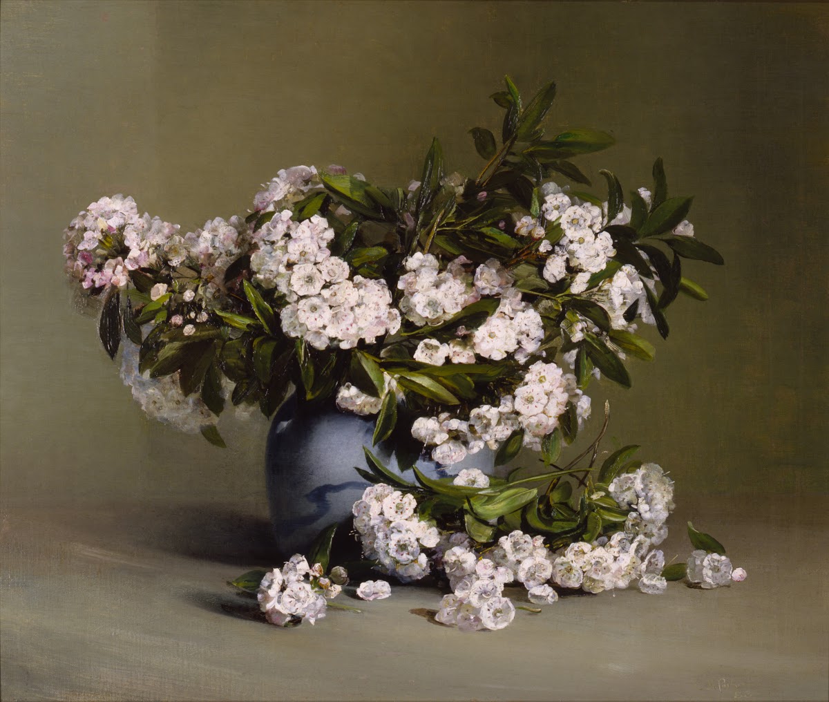 Mountain Laurel 1888