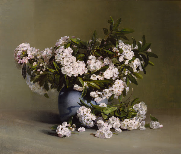 Mountain Laurel 1888
