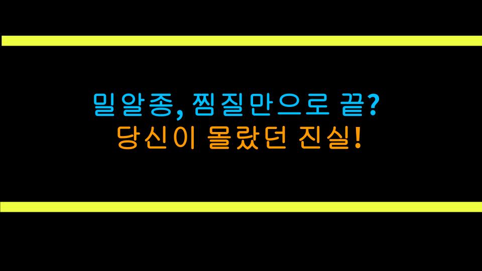 밀알종, 찜질만으로 끝? 당신이 몰랐던 진실!