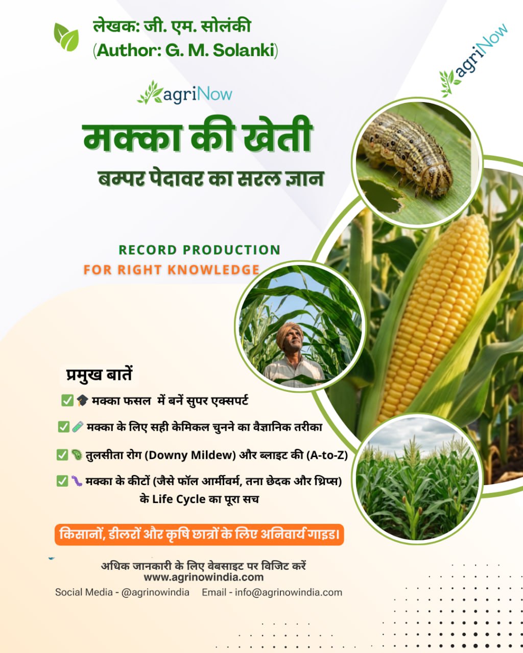 मक्का की उन्नत खेती