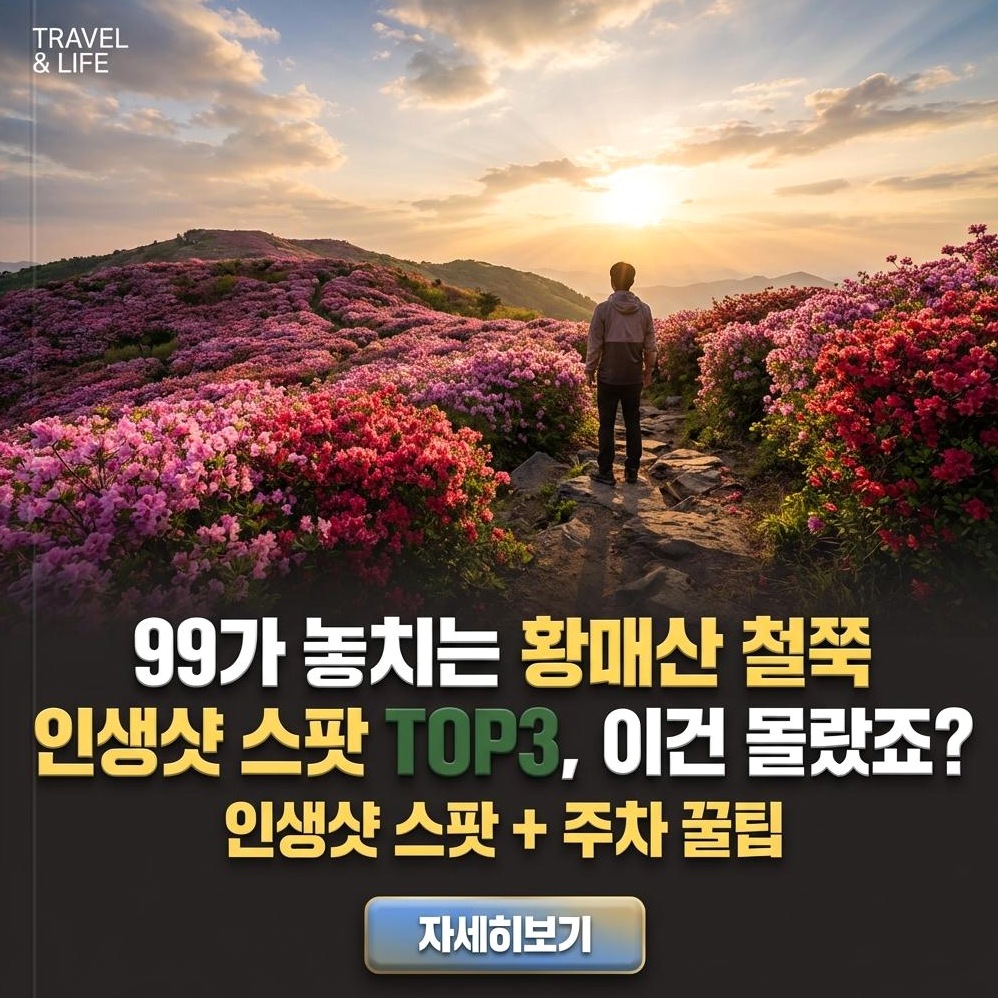 2026 황매산 철쭉 축제 완벽 가이드: 개화시기부터 등산코스, 주차, 맛집까지 A to Z