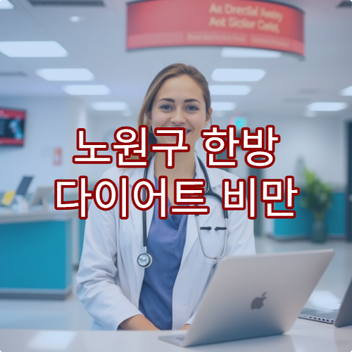 노원구 한방 다이어트 비만 치료 프로그램 효과 한의원 리스트