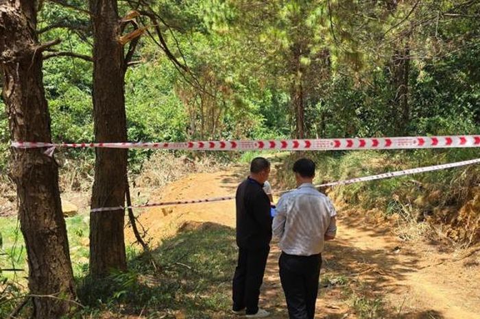 Ngang nhiên đấu nối đường trái phép trên đèo Bảo Lộc - Báo Công An Nhân Dân