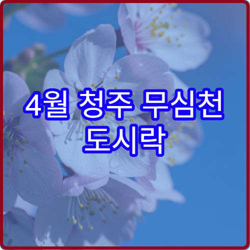 4월 청주 무심천 도시락 피크닉 강변 잔디 명당 위치