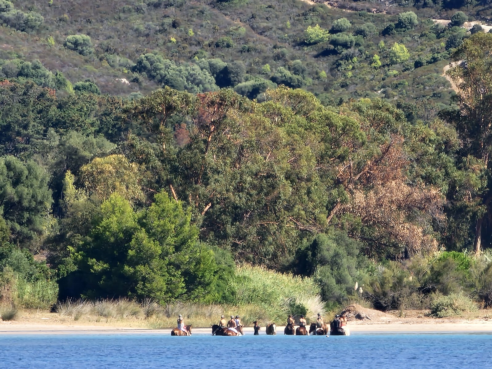 Photo de la navigation NAV-077