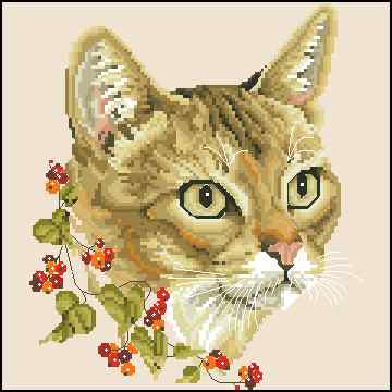 CMP 400663 Cat With Viburnum