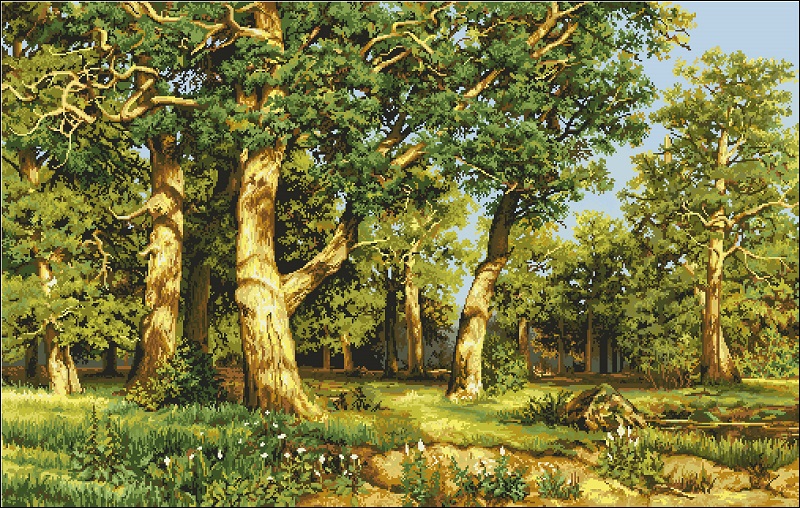 CMP G476 Oak Grove