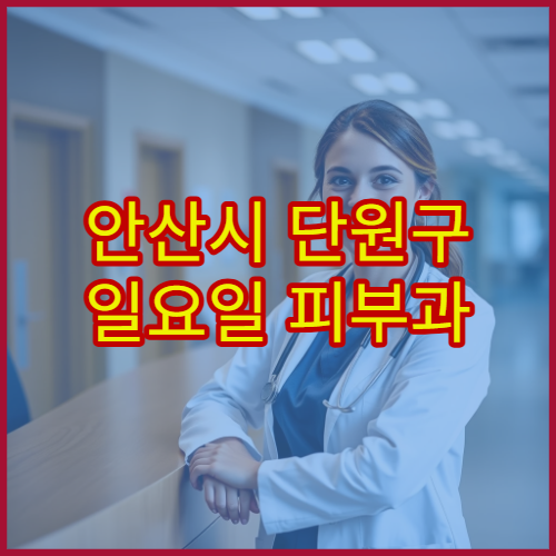 안산시 단원구 일요일 피부과 진료 병원 알레르기·두드러기 상담 가능