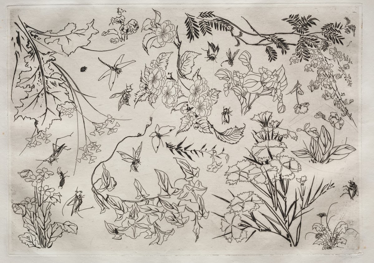 Dinner Service Rousseau service Flowers no 22 1866