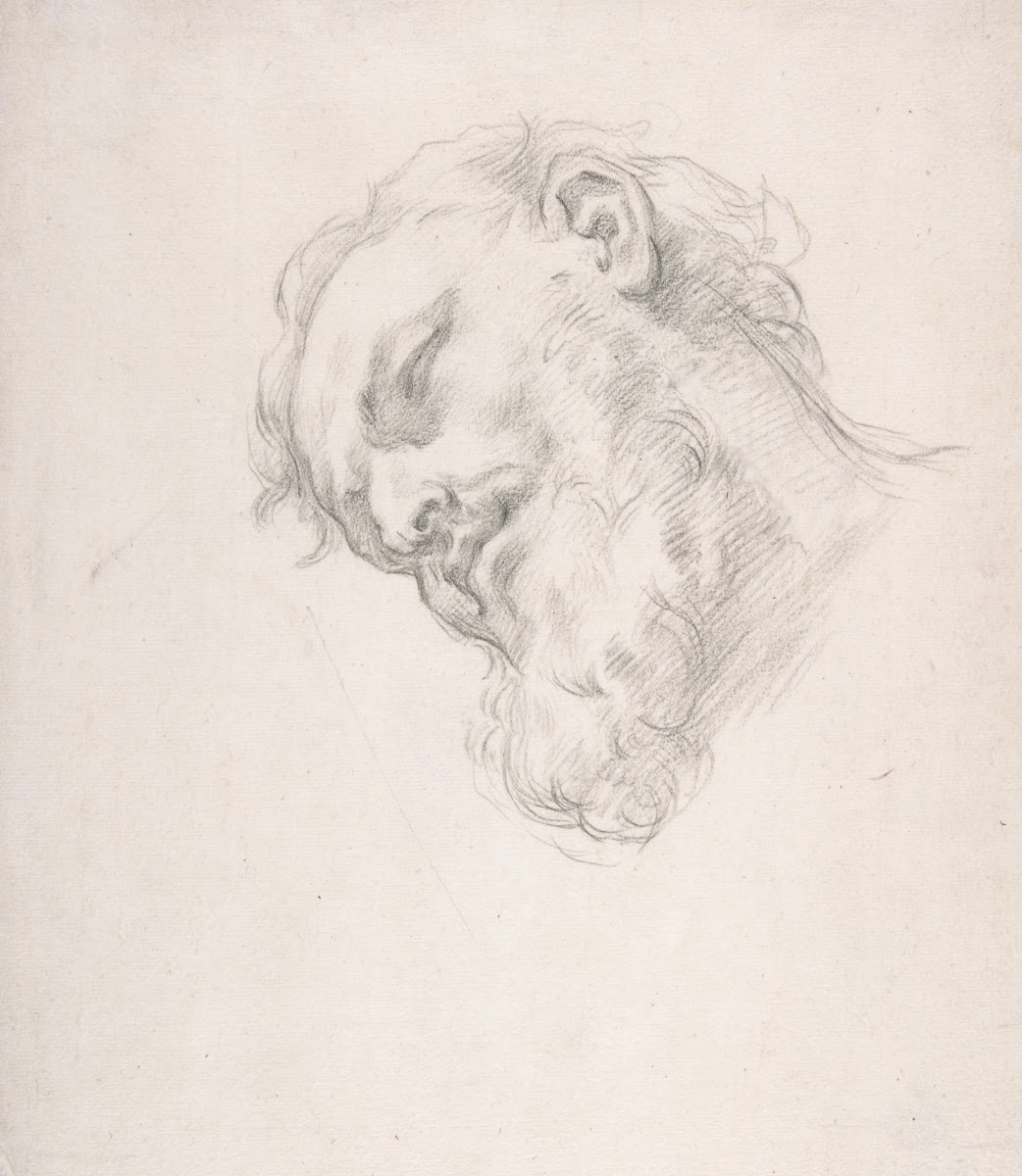 Study for a Head of a Man 16251713
