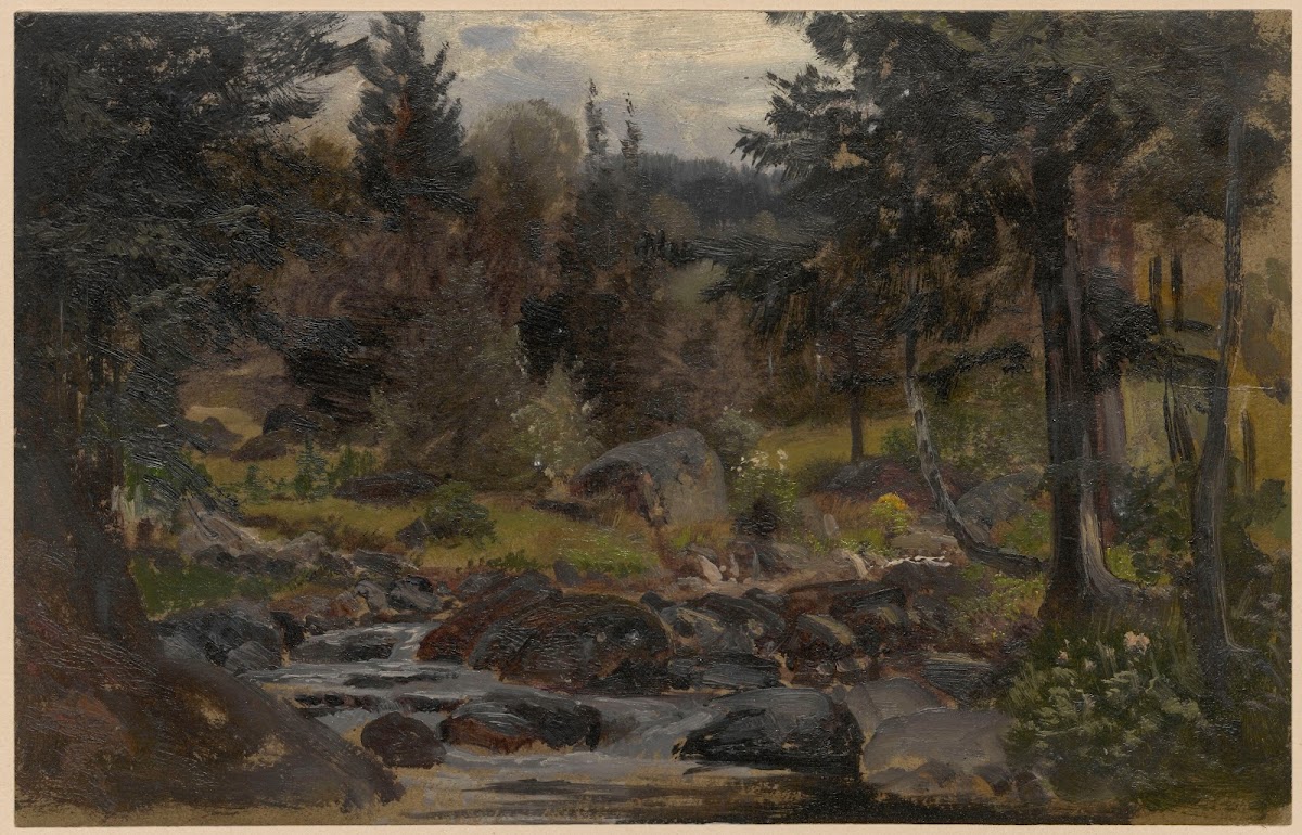 Forest stream in Przesieka 1850 1881