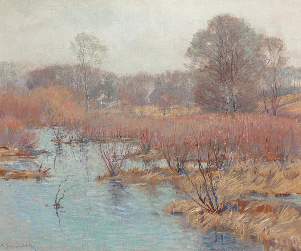 Spring Wetlands