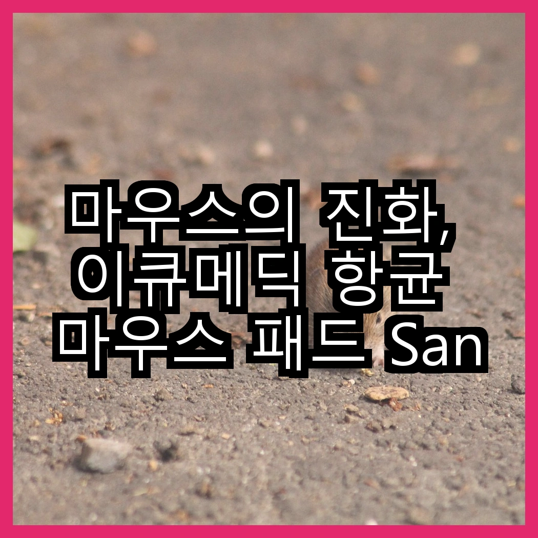 마우스의 진화, 이큐메딕 항균 마우스 패드 Sanitize-P1 대 로지텍 무선마우스 M170, 어떤 선택이 더 건강할까? 썸네일