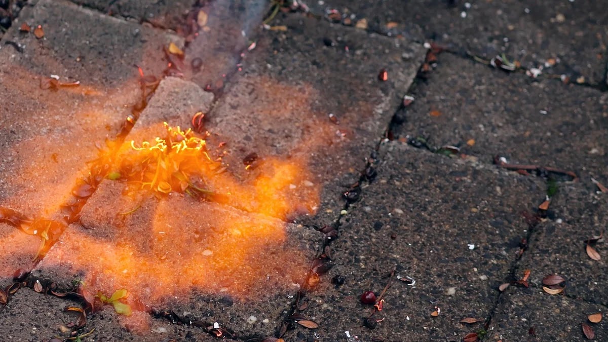 가스비 절약을 위한 가스레인지 효율적 사용법과 관리법