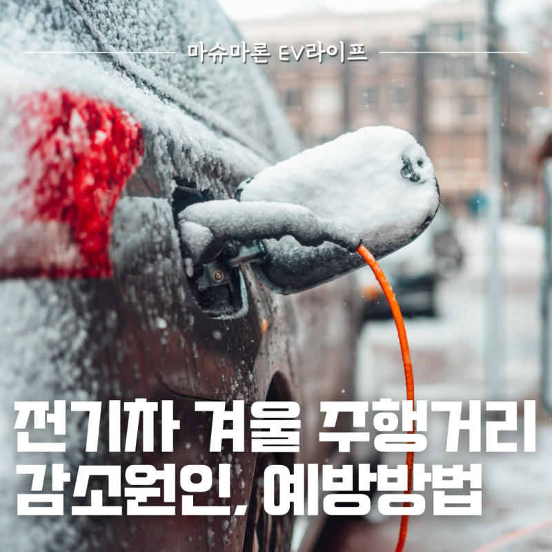 섹션 3 이미지