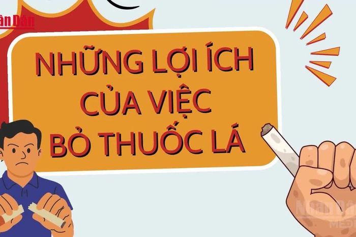 [Video] Hưởng ứng Ngày Thế giới không thuốc lá 31/5, Tuần lễ Quốc gia không thuốc lá 25-31/5/2026 - Những lợi ích của việc bỏ thuốc lá - Báo Nhân Dân