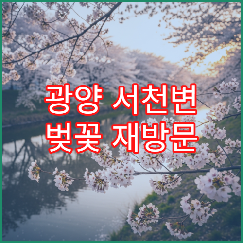 광양 서천변 벚꽃 재방문 이유 평일vs주말 솔직 후기 비교 분석