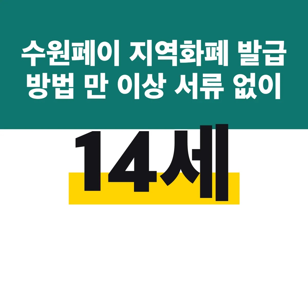 수원페이 지역화폐 발급 방법 만 14세 이상 서류 없이