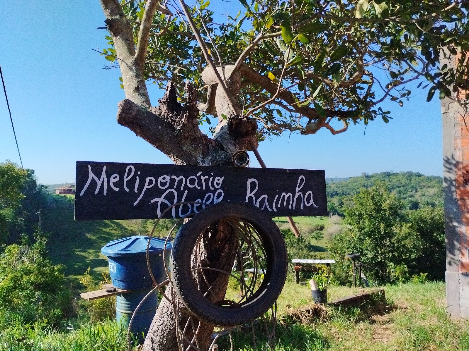 Registro fotográfico do Meliponário Abelha Rainha