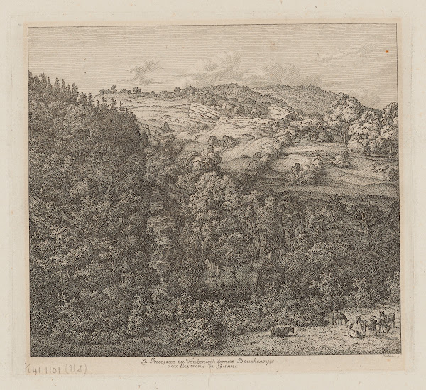 Le Precipice du Toubenloch derriere Boucheamps aux Environs de Bienne 1800