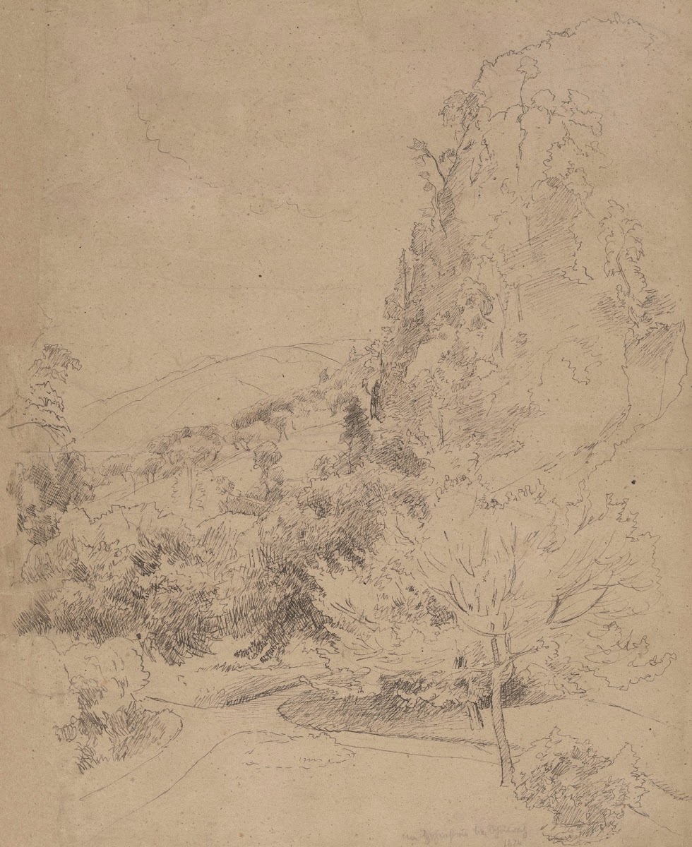 Tree Covered Slopes 1874