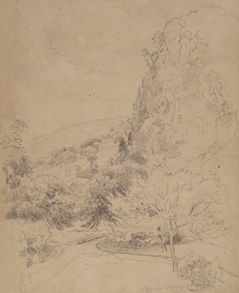 Tree Covered Slopes 1874