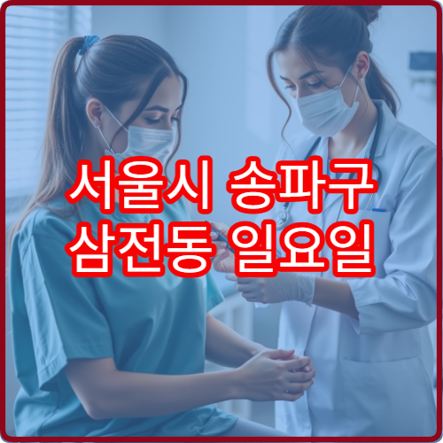 서울시 송파구 삼전동 일요일 내과 진료 병원 장염 감기