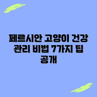 페르시안 고양이 건강 관리, 어떻게 페르시안 고양이 돌보나, 왜 페르시안 고양이가 아프나, 건강한 페르시안 고양이 유지 방법