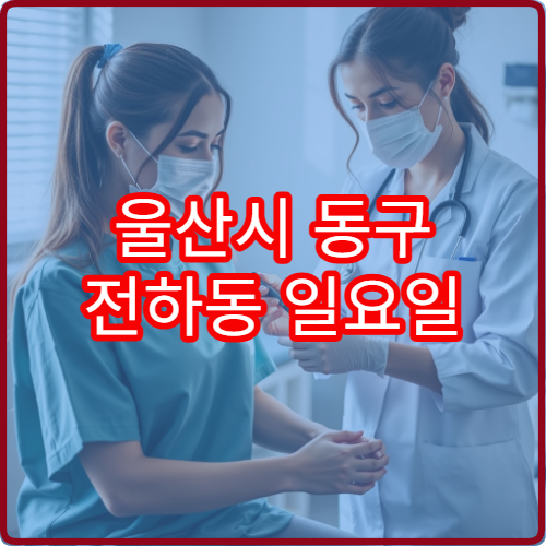 울산시 동구 전하동 일요일 산부인과 진료 가능한 병원 여성 검진 안내