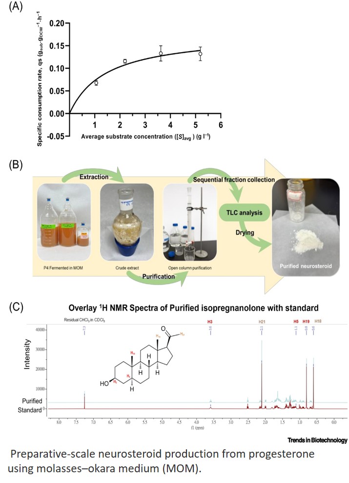 Multigram-scale stereoselective synthesis of neurosteroid isomers by gut microbial isolates using plant biomass-derived medium