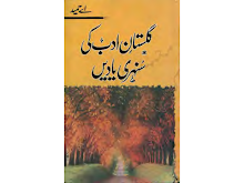 Gulistan E Adab Ki Sunehri Yaadein by A Hameed PDF