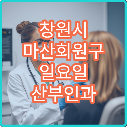 창원시 마산회원구 일요일 산부인과 진료 병원 산전검사 상담 가능