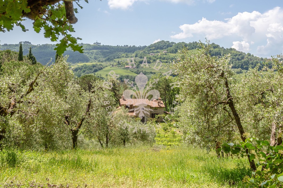 הבית מאחורי הגבעה (Il Casale dietro la Collina) — 3