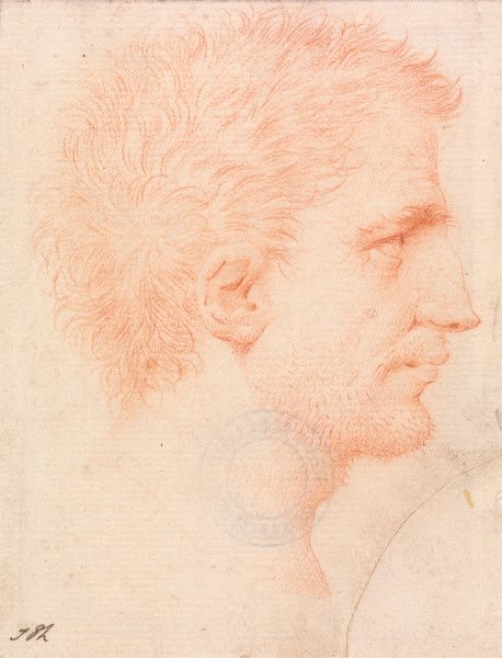 Head of a Man with Stubble Beard Facing Right